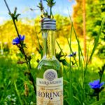 prune 5 CL
